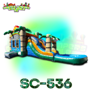 Slide Combo With Pool 536