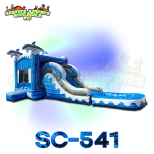 Slide Combo With Pool 541