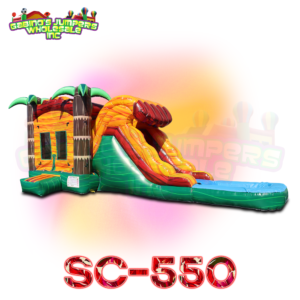 Slide Combo With Pool 550