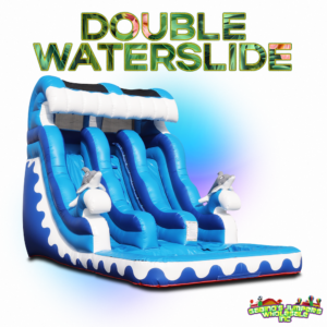 Double Waterslides